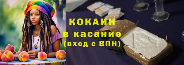 шишки Семилуки
