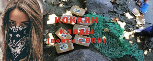 шишки Семилуки