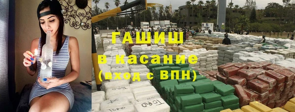 шишки Семилуки