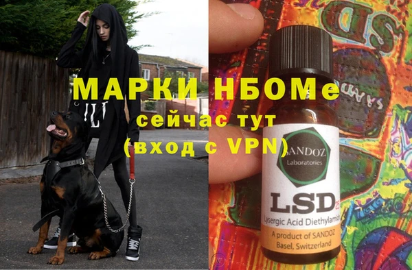 шишки Семилуки