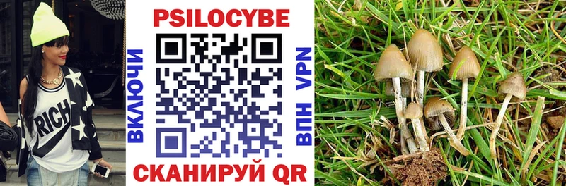 Купить закладки  Елец  Галлюциногенные грибы Psilocybine cubensis 